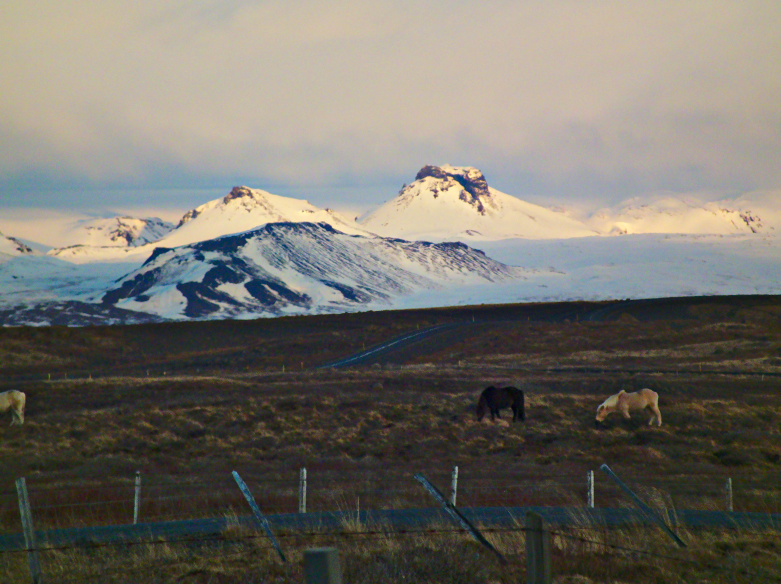 Iceland