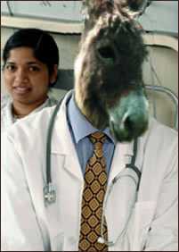 DrDonkey