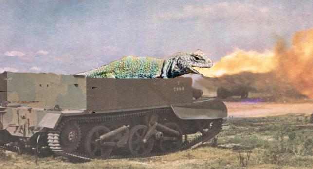 DragonTank