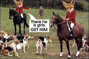 FoxHunters