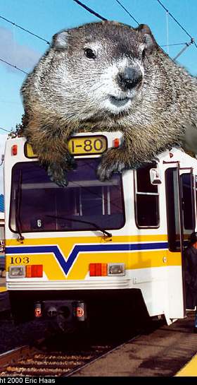 GroundhogTram