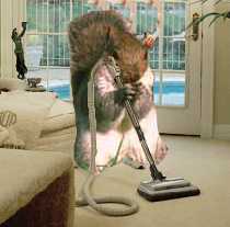 Hoovering