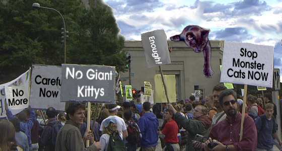 KittyProtest