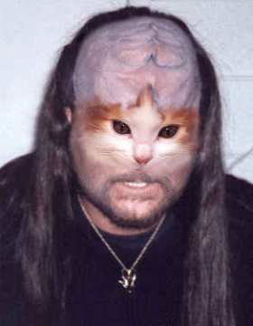 KlingonKitten