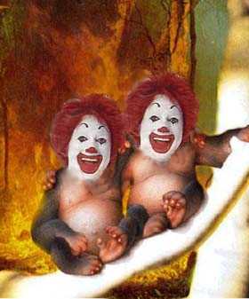 McMonkeys