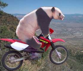 PandaBike