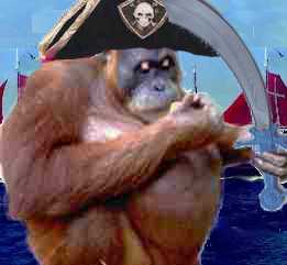 PirateApe