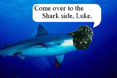 SharkSide