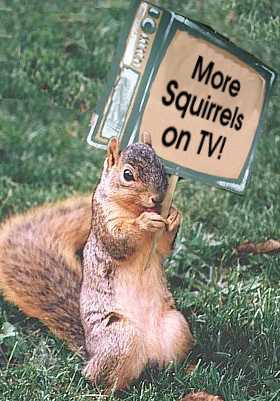 SquirrelProtest