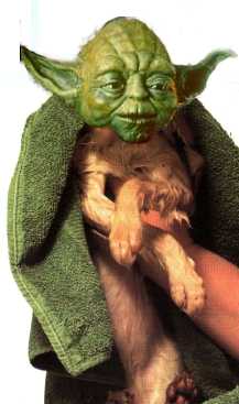 WetYoda