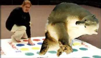 twister